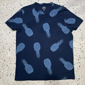 Hollister Blue Pineapple Print Crew Neck Short Sleeve T-Shirt